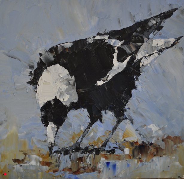 Magpie XI - 21cm x 20cm