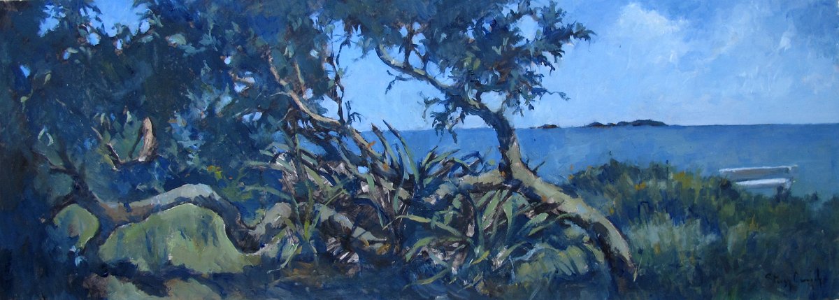 Wooli Banksia Solitary Islands - 45cm x 17cm