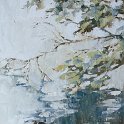 Ilwill river reflections - 15cm x20cm Ilwill river reflections - 15cm x20cm