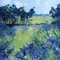 Paterson's paddock - 15cm x 20cm Paterson's paddock - 15cm x 20cm