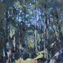 Bush Track - 16cm x 30cm Bush Track - 16cm x 30cm