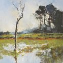 wetland 23cm x 41cm wetland 23cm x 41cm